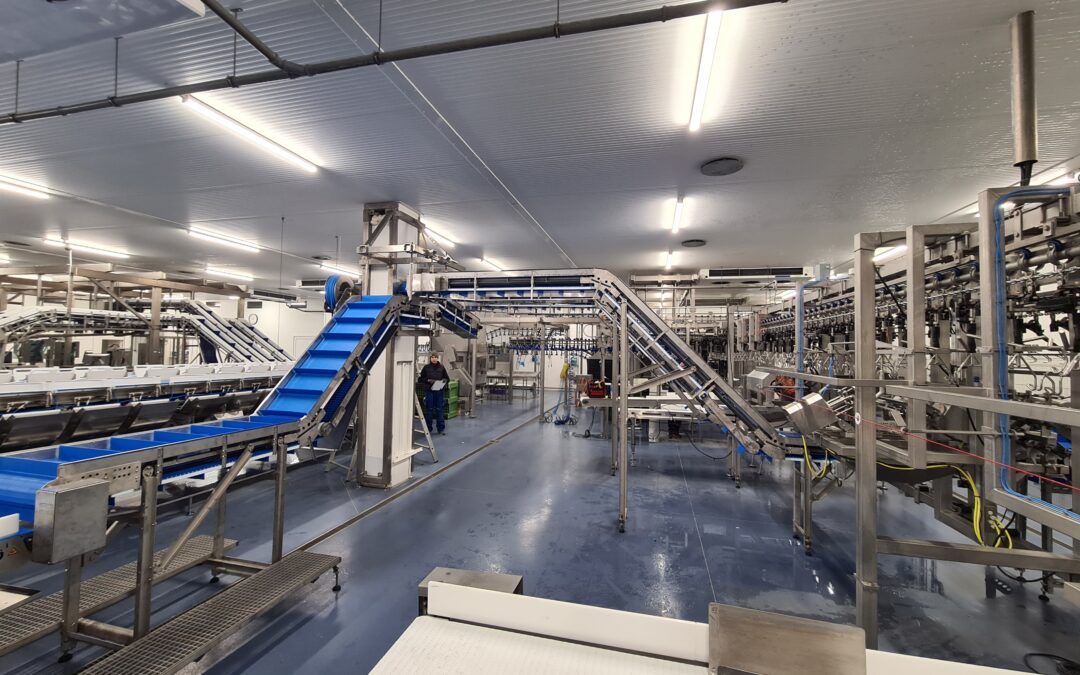 Food industry conveyors